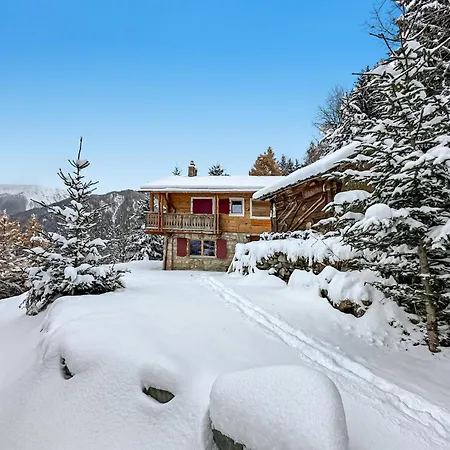 A Didi - Alps Paradise - 4 Vallees * لا تزوماز