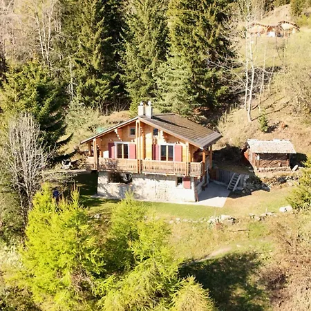 샬레 A Didi - Alps Paradise - 4 Vallees