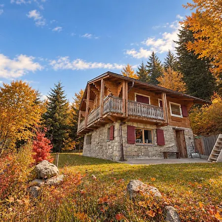 A Didi - Alps Paradise - 4 Vallees Chalet