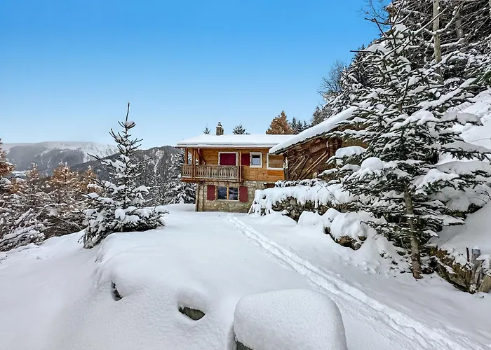 A Didi - Alps Paradise - 4 Vallees * ラ・ズマ
