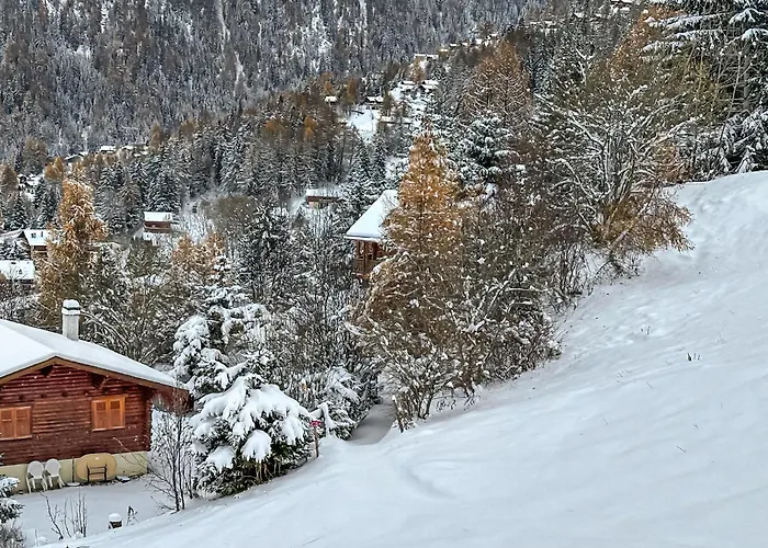 A Didi - Alps Paradise - 4 Vallees シャレー ラ・ズマ